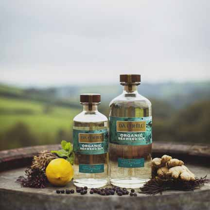 25 Days of Welsh Gin | 25 Diwrnod of Jin Cymreig: Gin #5 Da Mhile, Seaweed Gin 42%, 70cl