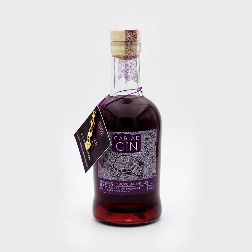 25 diwrnod o Jin Cymreig | Twenty Five Days of Welsh Gin: Gin #2: Cariad Gin - Blackcurrant Gin