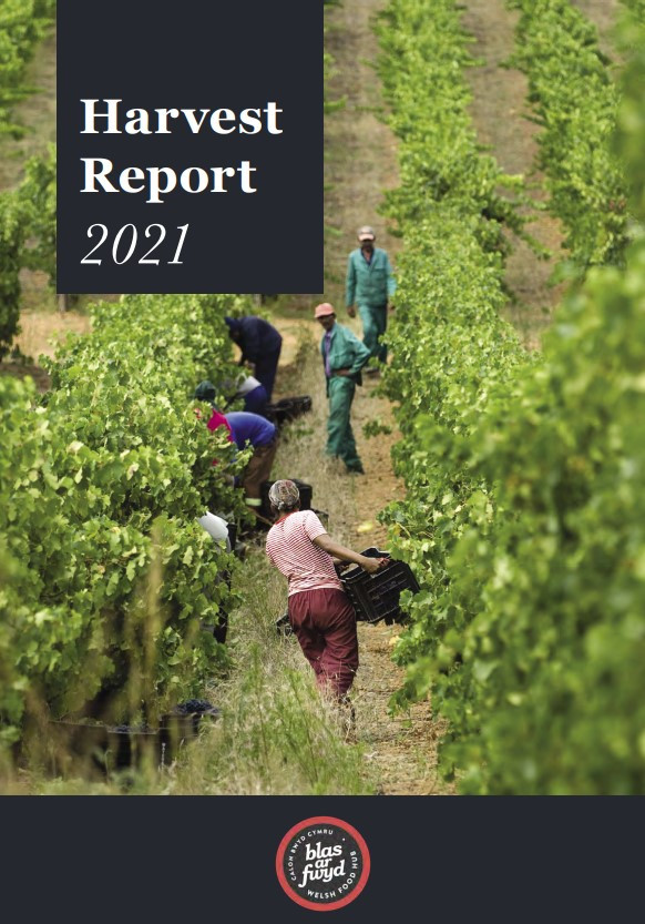 World Grape Harvests - Blas ar Fwyd 2021 Report | Hadroddiad 2021 Cynhaeaf Grawnwin Blas ar Fwyd