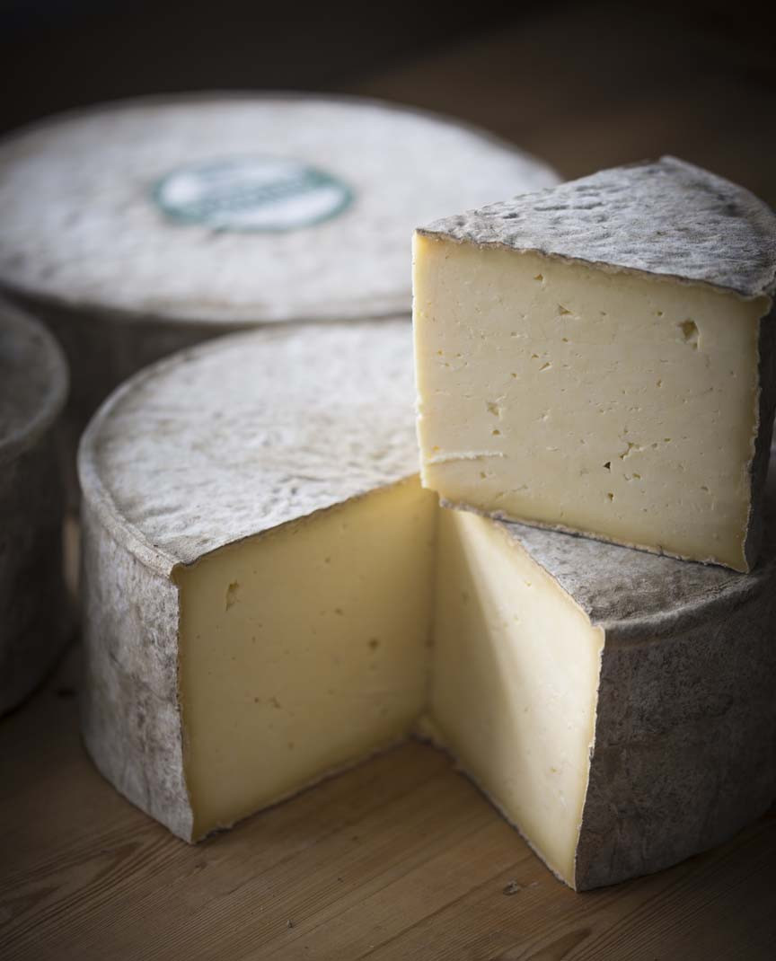 Llwyddiant cawsiau Cymreig yng Ngwobrau Caws y Byd | Welsh cheeses triumph at the World Cheese Awards.