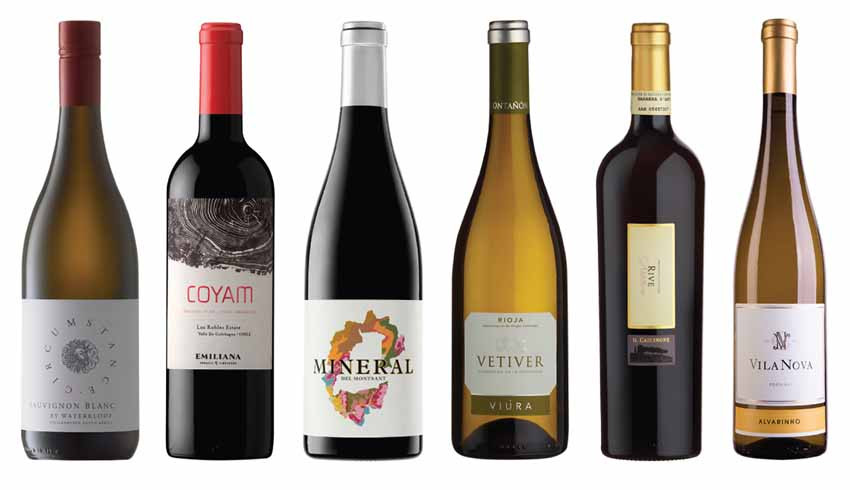 Cynigion Gwin a Gwirod Blas ar Fwyd | Festive Wine Offers at Blas ar Fwyd