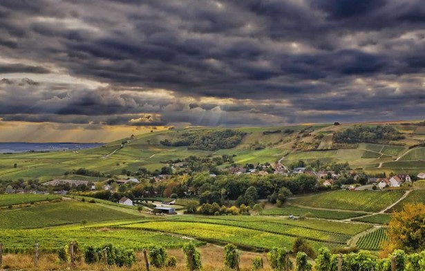 December Wine Tasting: Experience the Loire Valley