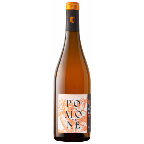 10168380 - Ams Tram Gram Pomone Orange Wine.jpg