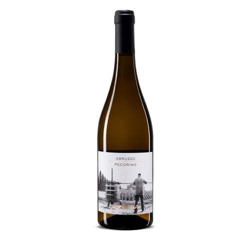 Blas ar Fwyd: Contessa Abruzzo Pecorino