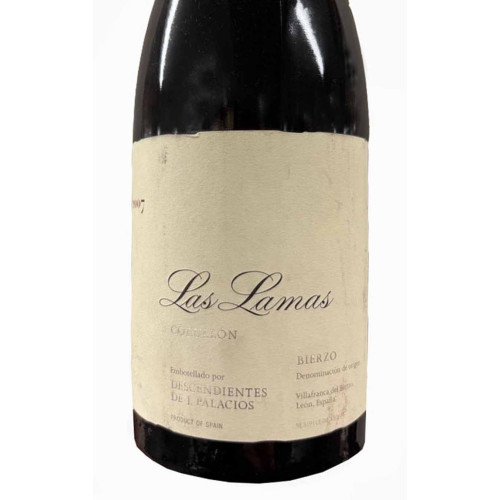 12114181 - Descendientes de J. Palacios Las Lamas 2007.jpg