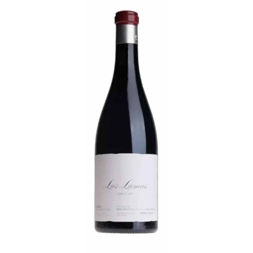 12114182 - Descendientes de J. Palacios Las Lamas 2022.jpg