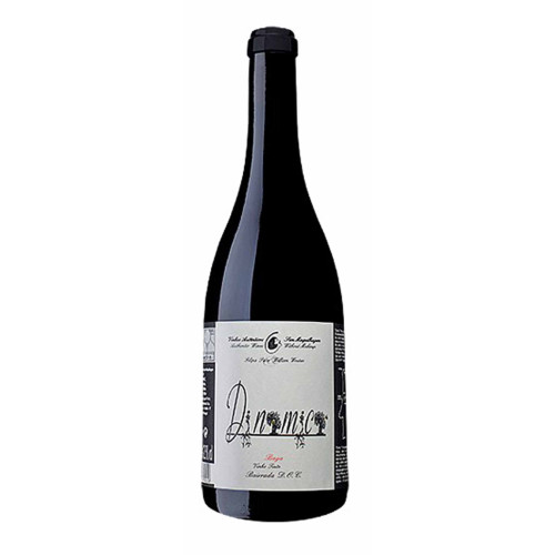 14103280 - Filipa Pato Dinamica, Baga 2021.jpg