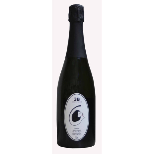 14105980 - Filipa Pato 3B Blanc de Blancs NV.jpg