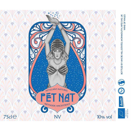 15107280 - Ancre Hill Estates, PET Nat NV Pink i.jpg