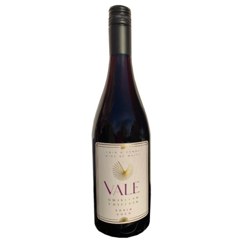 15111580 - Vale Vineyard, Robin Goch.jpg