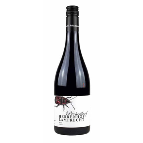 17102180 - Herrenhof Lamprecht Buchertberg Blaufrankisch.jpg