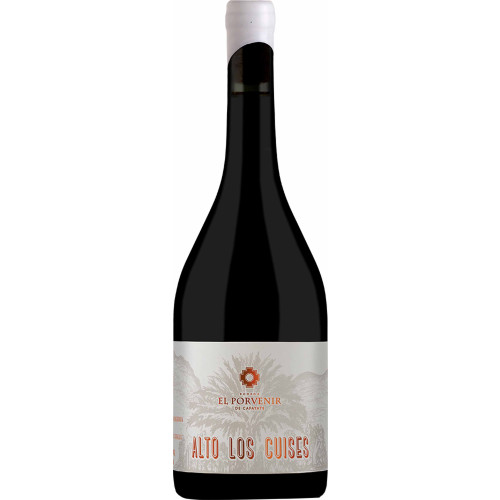20112680 - Alto Los Cuises Malbec, Valle de Cafayate.jpg