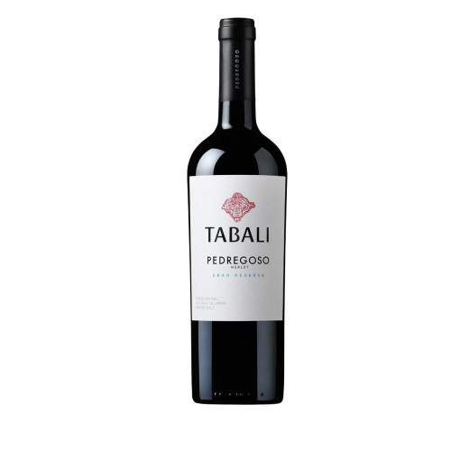 Blas ar Fwyd: Vina Tabali Pedrogoso Reserva Merlot
