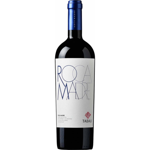 Blas ar Fwyd: Vina Tabali, Roca Madre Malbec, Rio