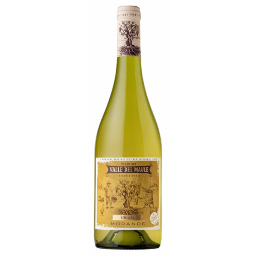 22114480 - Morande Terroir, Semillon.jpg