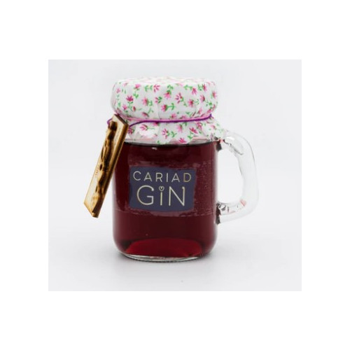 50207902 - Cariad Gin Blackcurrant Gin, 40% 100ml.jpg