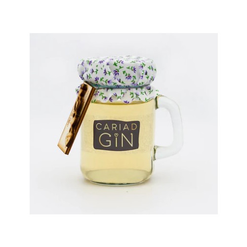 50208002 - Cariad Gin, Plum Crumble Gin, 40% 100ml.jpg