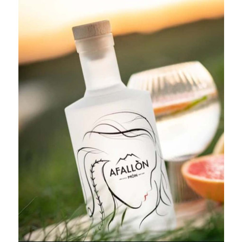 Blas ar Fwyd: Afallon Mon Jin Sych, 42% 50cl lifes