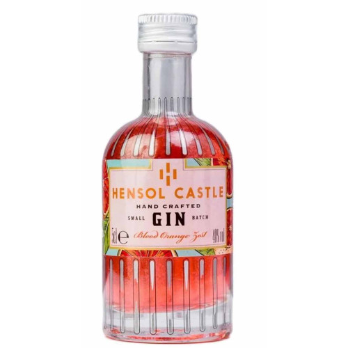 50214702 - Hensol Castle, Blood Orange Gin, 40%, 5cl.jpg