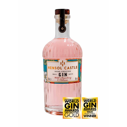 50214801 - Hensol Castle Wild Strawberry & Hibiscus Gin 40%, 70cl awards.jpg