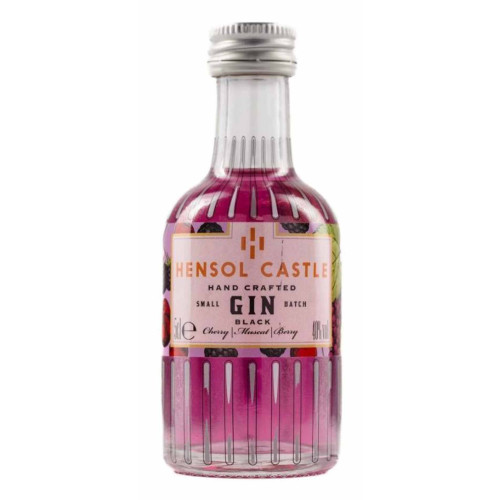 50215402 - Hensol Castle, Black Gin, 40%, 5cl.jpg