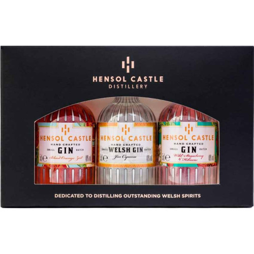 50220801 - Hensol Castle Gin Gift Pack, 3 x 5cl.jpg