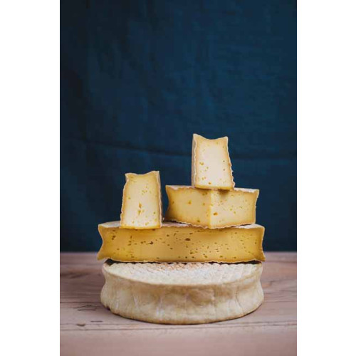 Blas ar Fwyd: Caws Teifi, Saval ~2kg Round, Å“kg 1.