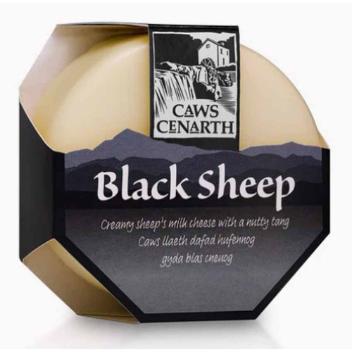Blas ar Fwyd: Caws Cenarth, Black Sheep (Ewe's Mil
