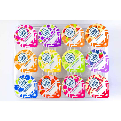 D3200201 - Llaeth y Llan, Assorted Fruit Yogurt, 125g Pot.jpg