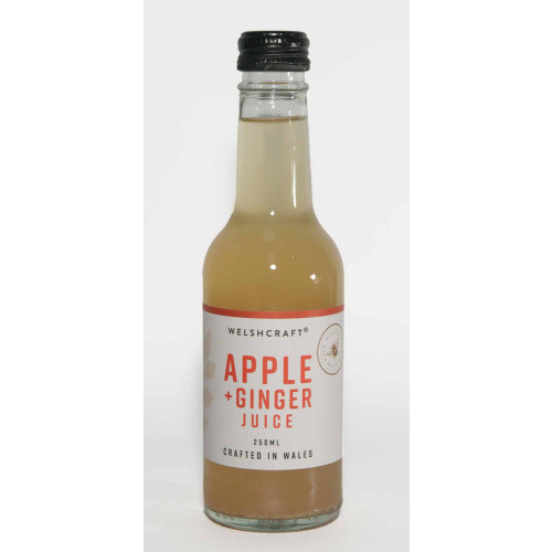 T4309241 - Welshcraft Apple and Ginger Juice 24 x 250ml.jpg