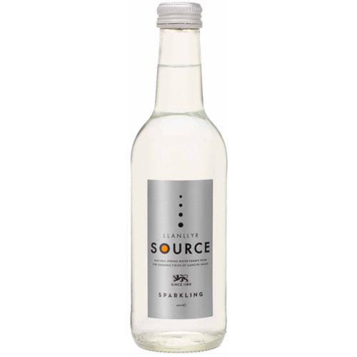 Blas ar Fwyd: Llanllyr Source SparklingWater - 24x