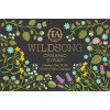 24105480 - Wildsong Syrah Hawkes Bay - organic.jpg
