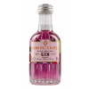 50215402 - Hensol Castle, Black Gin, 40%, 5cl.jpg
