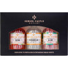 50220801 - Hensol Castle Gin Gift Pack, 3 x 5cl.jpg