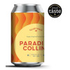 50306121 - Silver Circle, Paradiso Collins 6.2% 33cl can.jpg