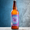Purple Moose Brewery, Cwrw Glaslyn/Glaslyn Ale, 500ml Bottle