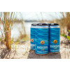 Wild Horse, Buckskin,12 x 440ml cans