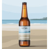 76110221 - Bragdy Conwy, Beachcomber 12 x 500ml.jpg