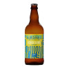Best Welsh Golden and Light Beers