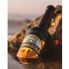Gower Brewery, Gower Gold, 4.5% 8 x 500ml