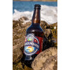 Gower Brewery, Gower Power 5.5% 8 x 500ml