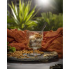 BAF, Gourmet Cheesecake, Lotus Biscoff, 190g