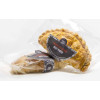 BAF, Beef Pastie