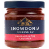 C4207401 - Snowdonia Cheese, Rhubarb and Gin Chutney 100g.jpg