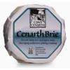 D0102203 - Caws Cenarth, Organic Cenarth Brie, Truckle.jpg