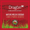 Blas ar Fwyd: Dragon, Mature White Welsh Cheddar, 
