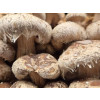 Ardd Fadarch Umami Powder, 40g Tub