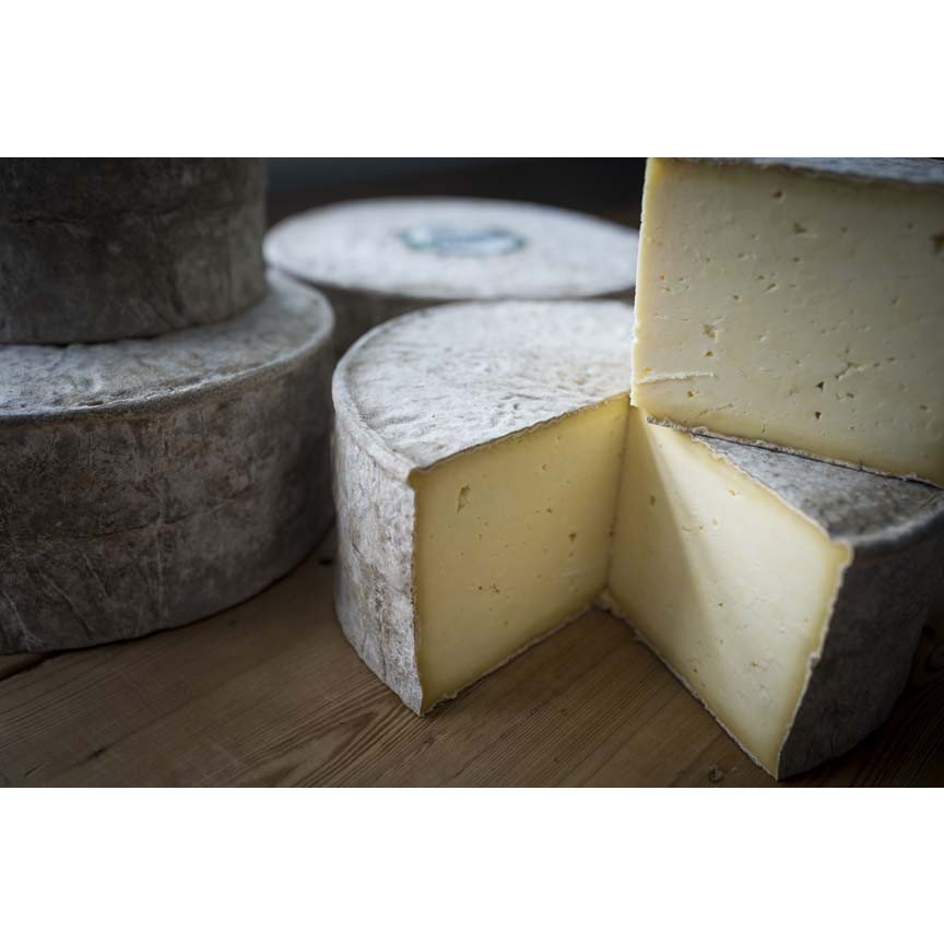 Blas ar Fwyd Website - Trethowan, Gorwydd Caerffili, approx 4.5kg round