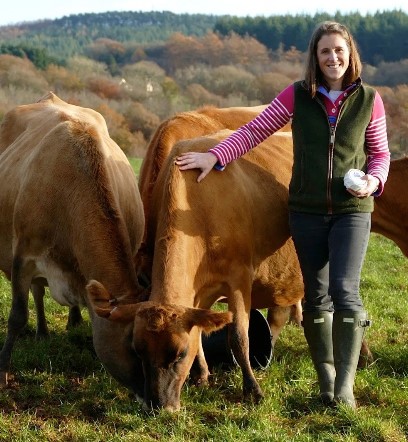 Brookes Wye Valley Dairy owner with cows