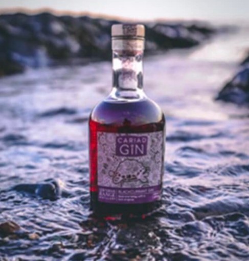 Cariad Gin in the sea